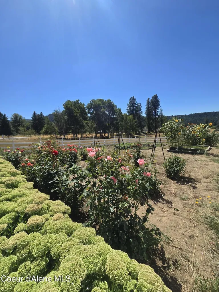 31401 S Highway 3 Medimont ID 83842