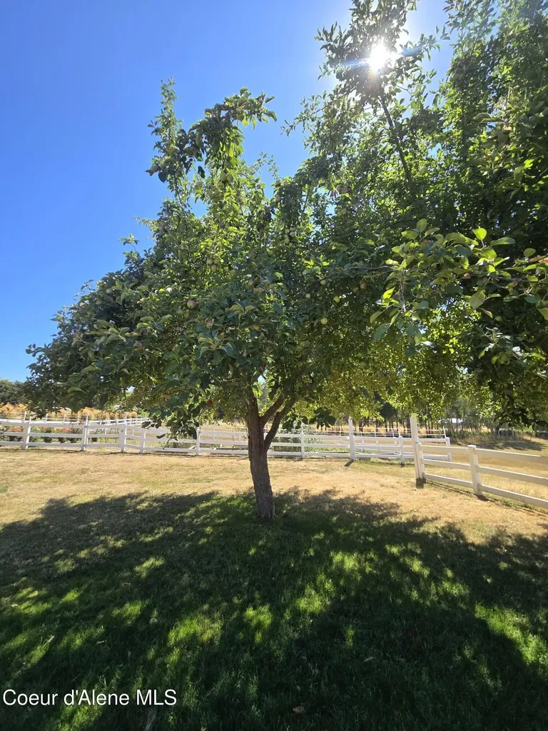 31401 S Highway 3 Medimont ID 83842