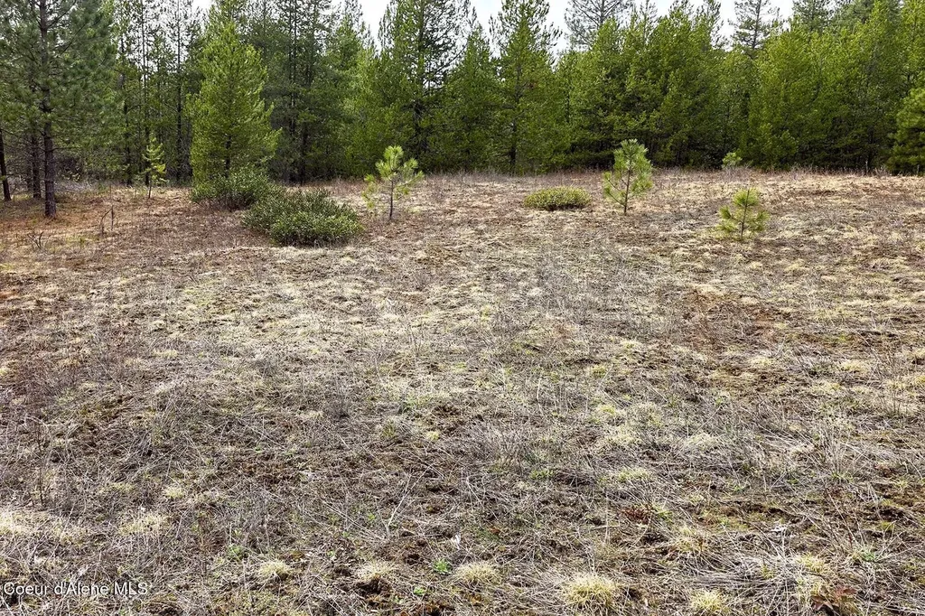 Nla Dusty Lane Naples ID 83847