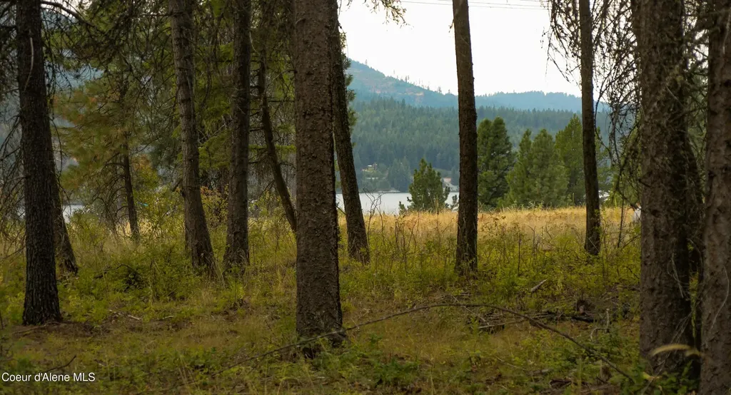 127 Lions Road Priest River ID 83856