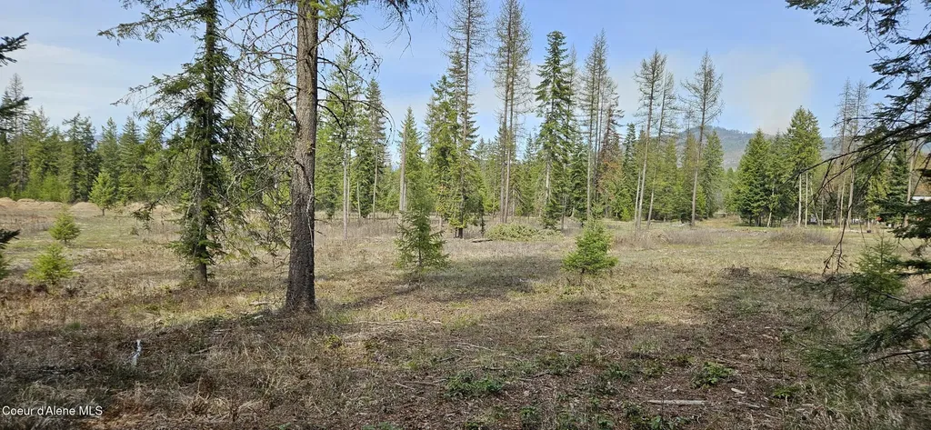 258 Nitty Gritty Lane Priest River ID 83856