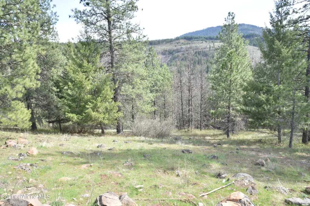 1605 Canyon Ridge Drive Plummer ID 83851