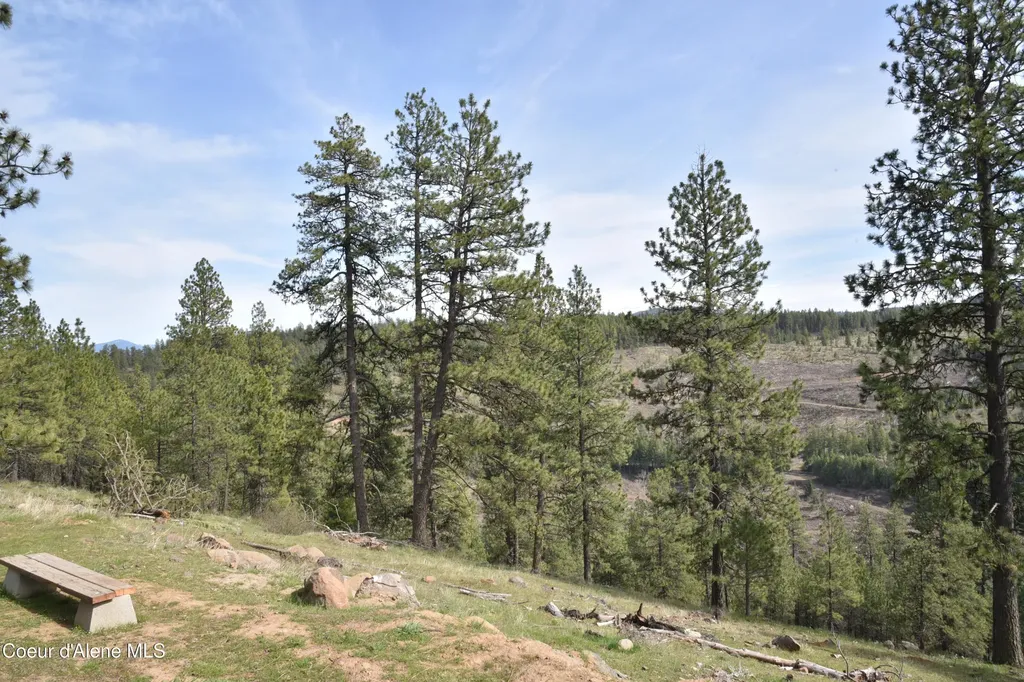 1605 Canyon Ridge Drive Plummer ID 83851