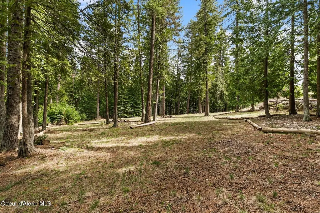 177 Hawkins Spur Road Sagle ID 83860