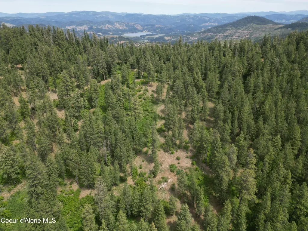 Nka Initial Peak Road Cataldo ID 83810