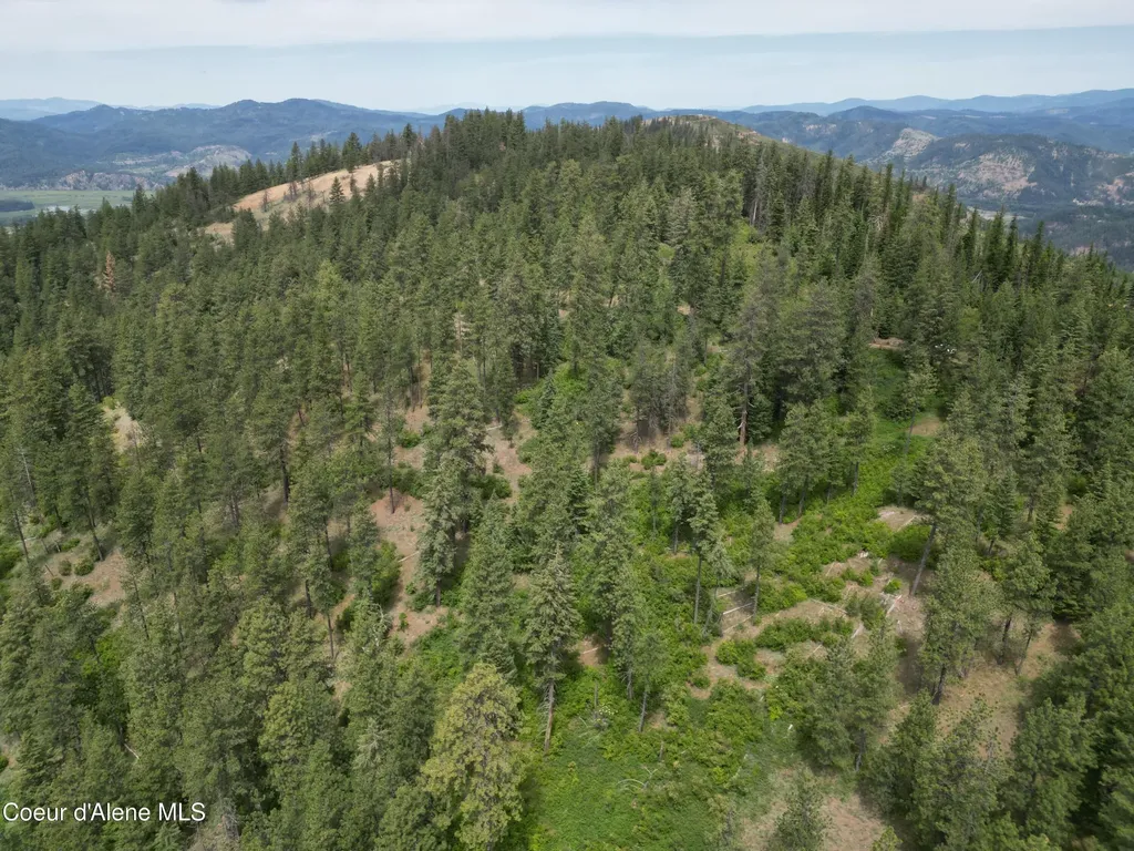 Nka Initial Peak Road Cataldo ID 83810