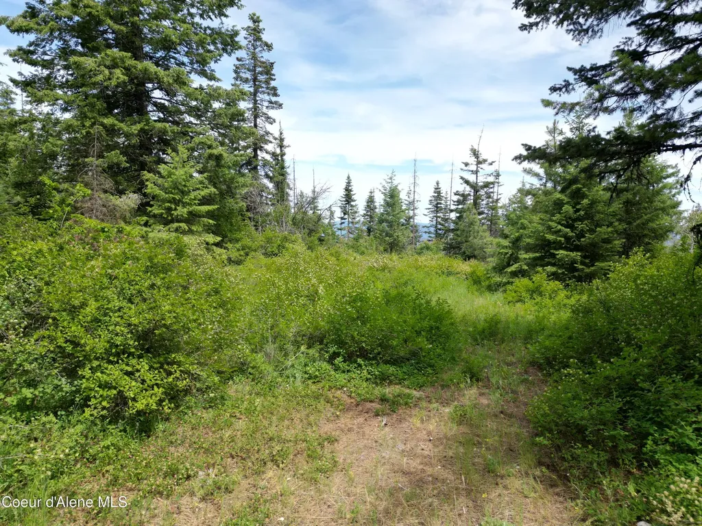 Nka Initial Peak Road Cataldo ID 83810