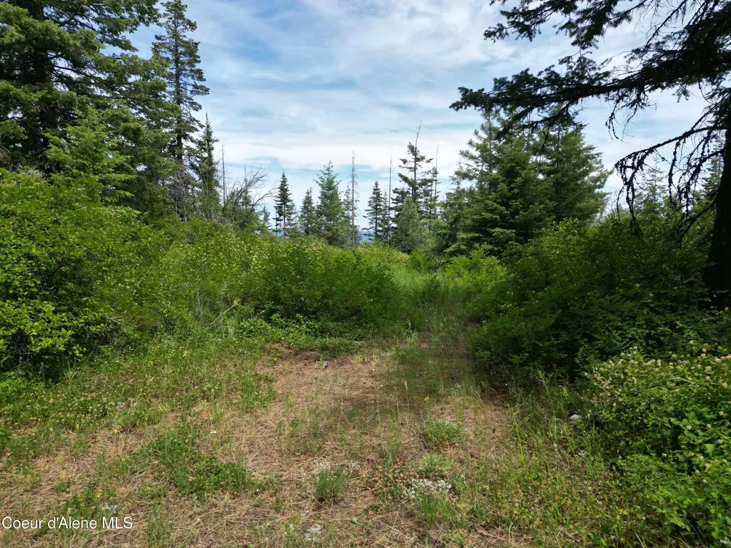 Nka Initial Peak Road Cataldo ID 83810