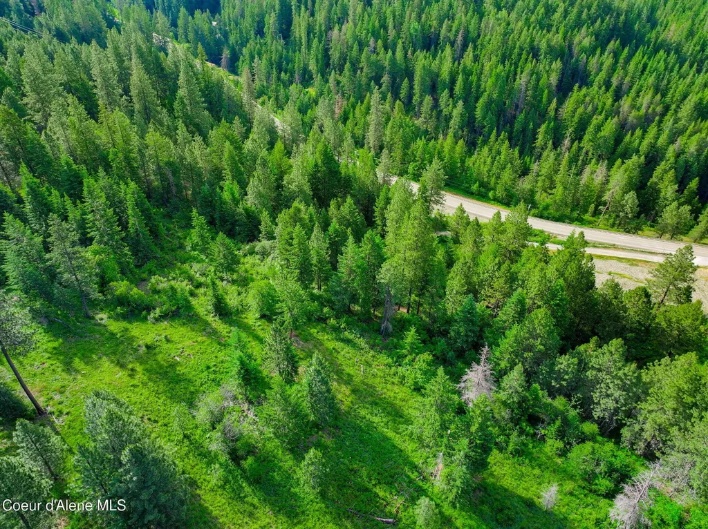 NKA-2 S Skyview Road Harrison ID 83833