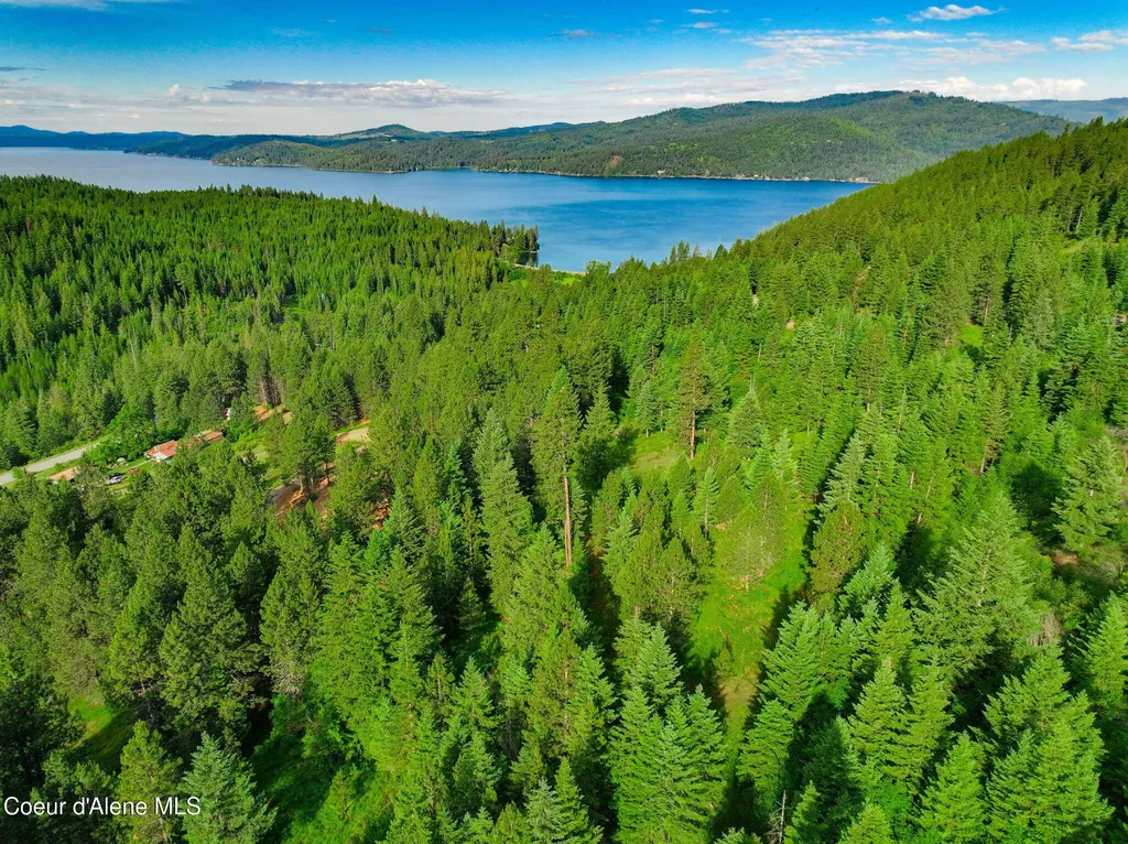 NKA-2 S Skyview Road Harrison ID 83833