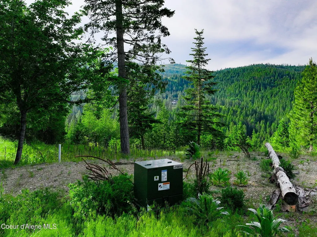 NKA-2 S Skyview Road Harrison ID 83833