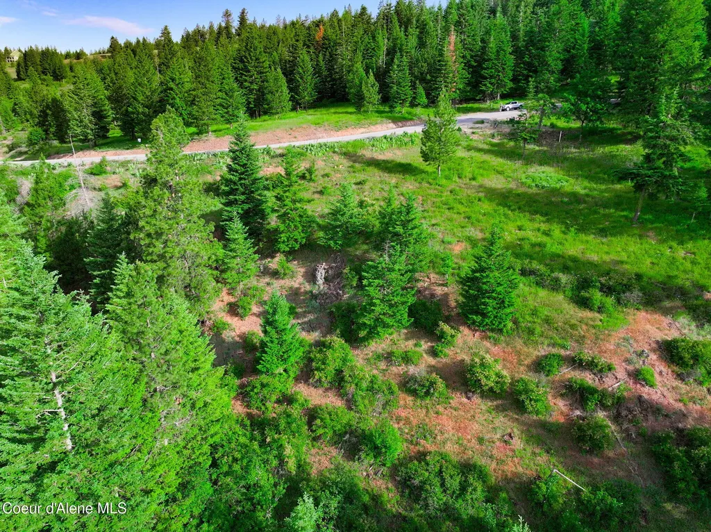 NKA-2 S Skyview Road Harrison ID 83833