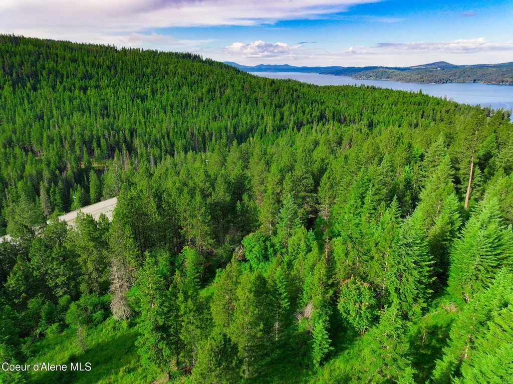 Nka 1b S Skyview Road Harrison ID 83833
