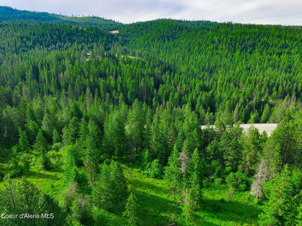 Nka 1b S Skyview Road Harrison ID 83833