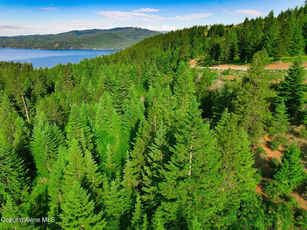 Nka 1b S Skyview Road Harrison ID 83833
