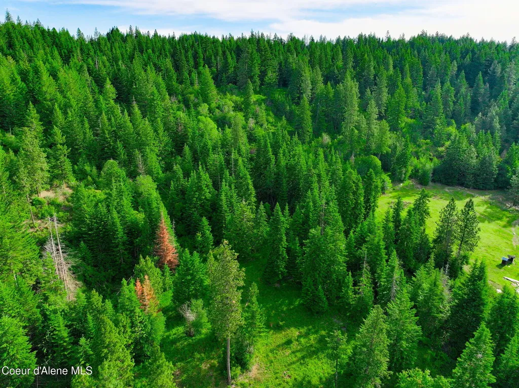 Nka 1b S Skyview Road Harrison ID 83833
