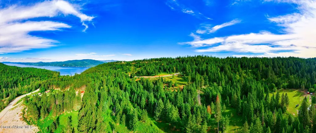Nka 1b S Skyview Road Harrison ID 83833