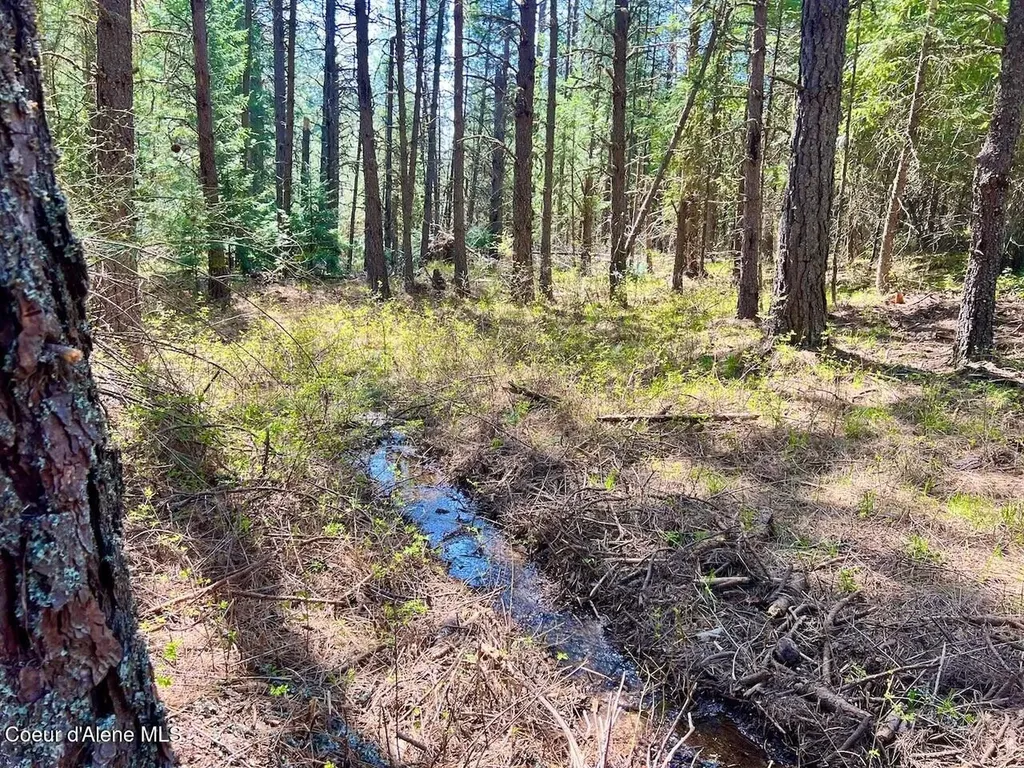 1198 Mountain View Drive Sandpoint ID 83864