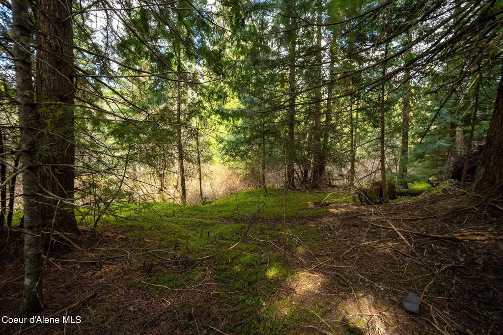 Nka Evans Creek Road Medimont ID 83842