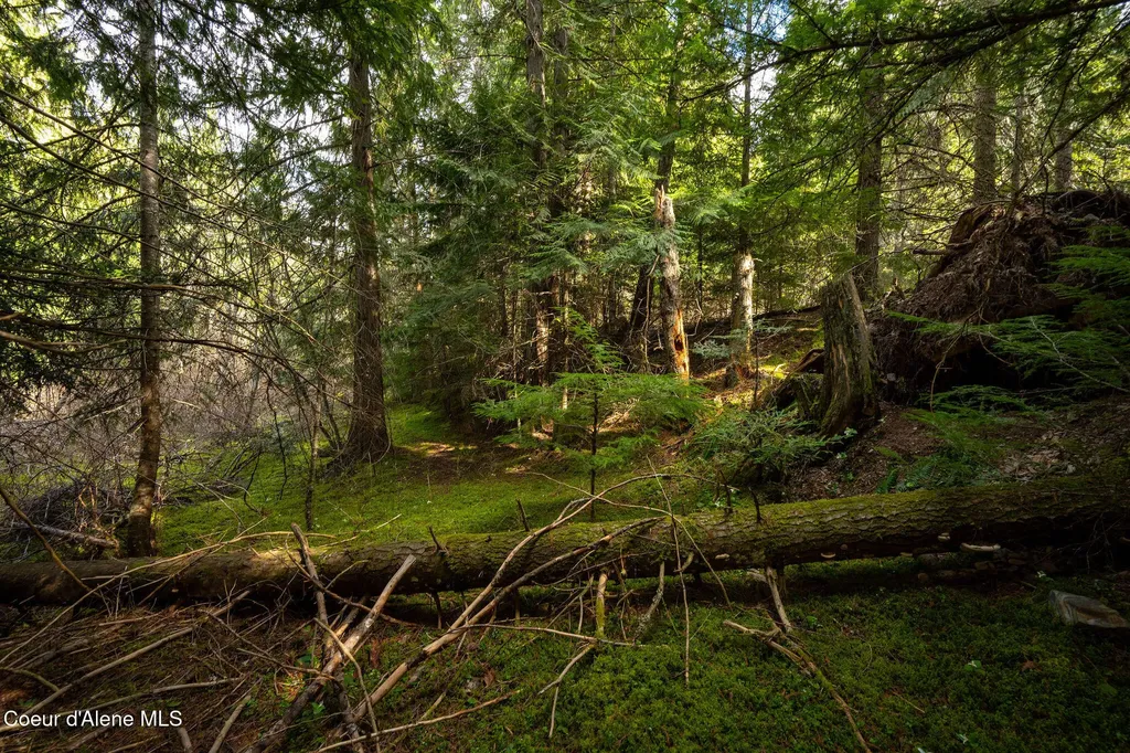 Nka Evans Creek Road Medimont ID 83842