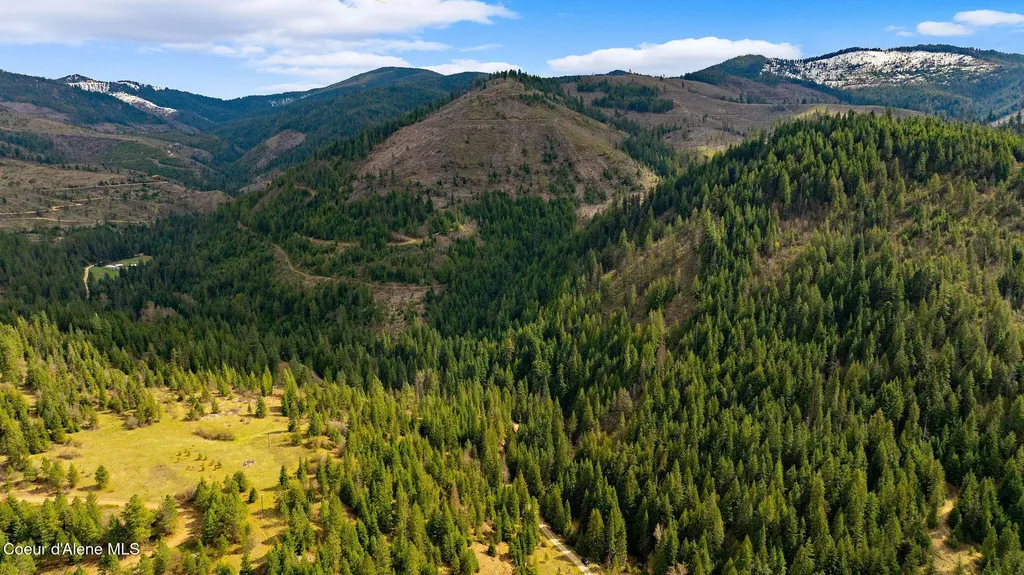 Nka Evans Creek Road Medimont ID 83842