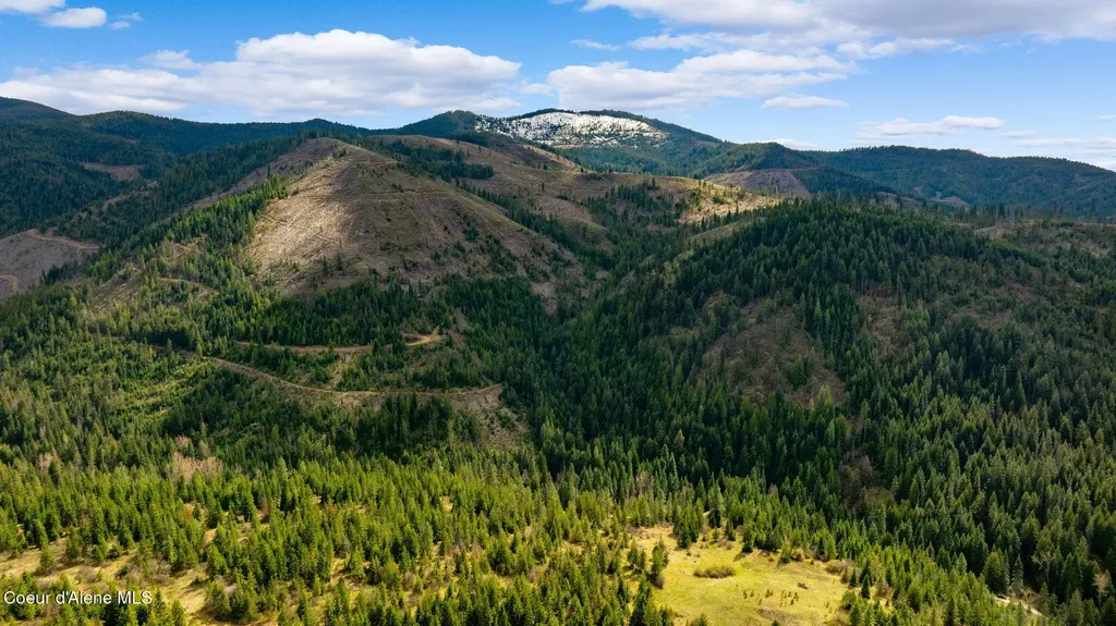 Nka Evans Creek Road Medimont ID 83842