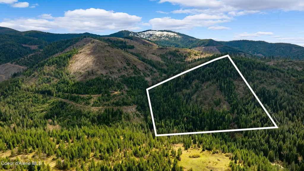 Nka Evans Creek Road Medimont ID 83842