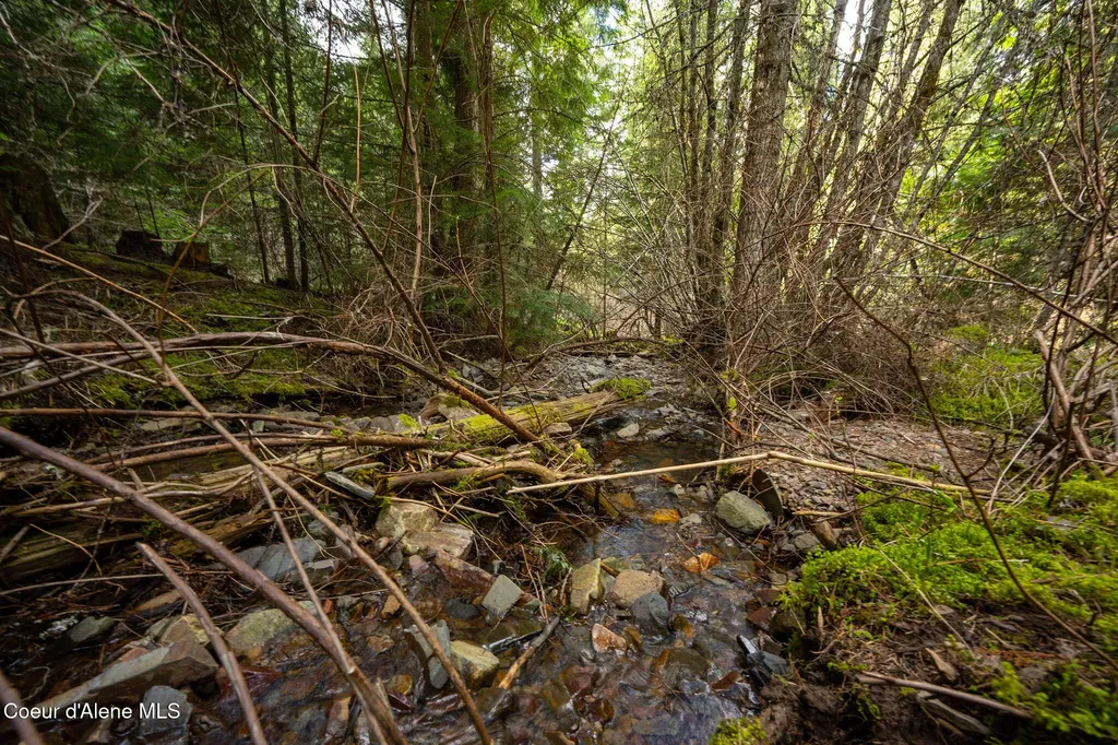 Nka Evans Creek Road Medimont ID 83842