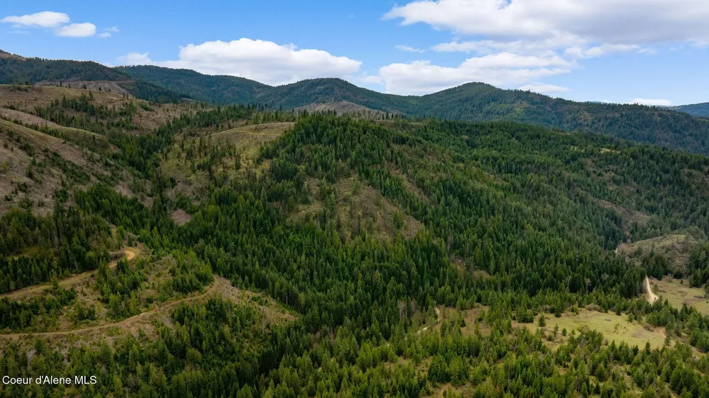 Nka Evans Creek Road Medimont ID 83842
