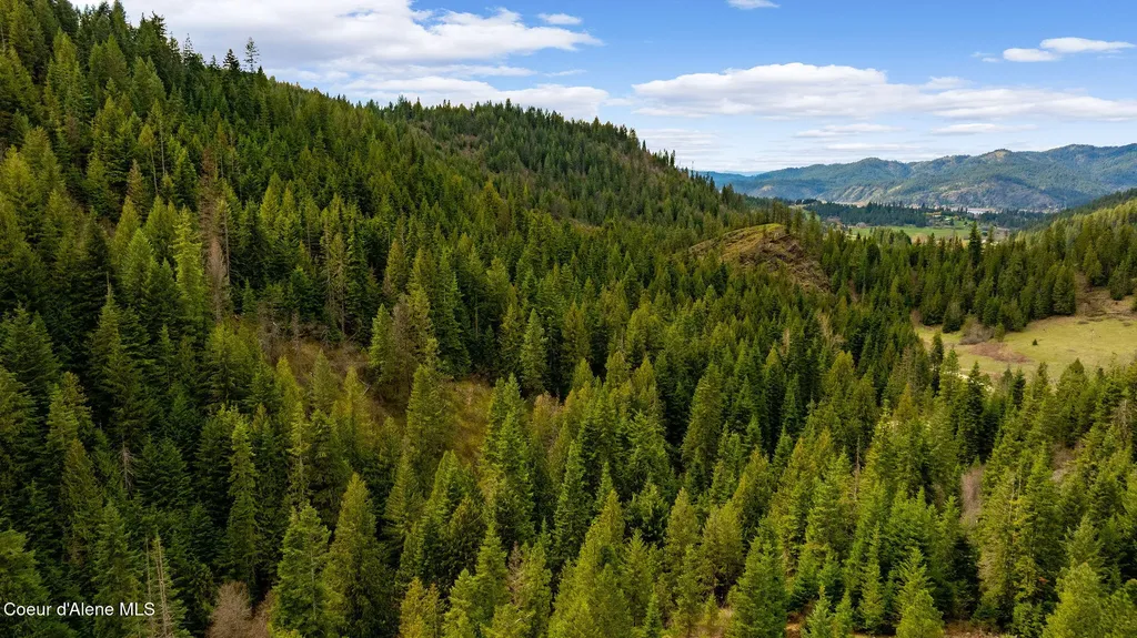 Nka Evans Creek Road Medimont ID 83842