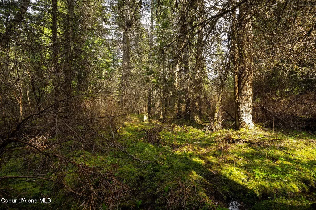 Nka Evans Creek Road Medimont ID 83842