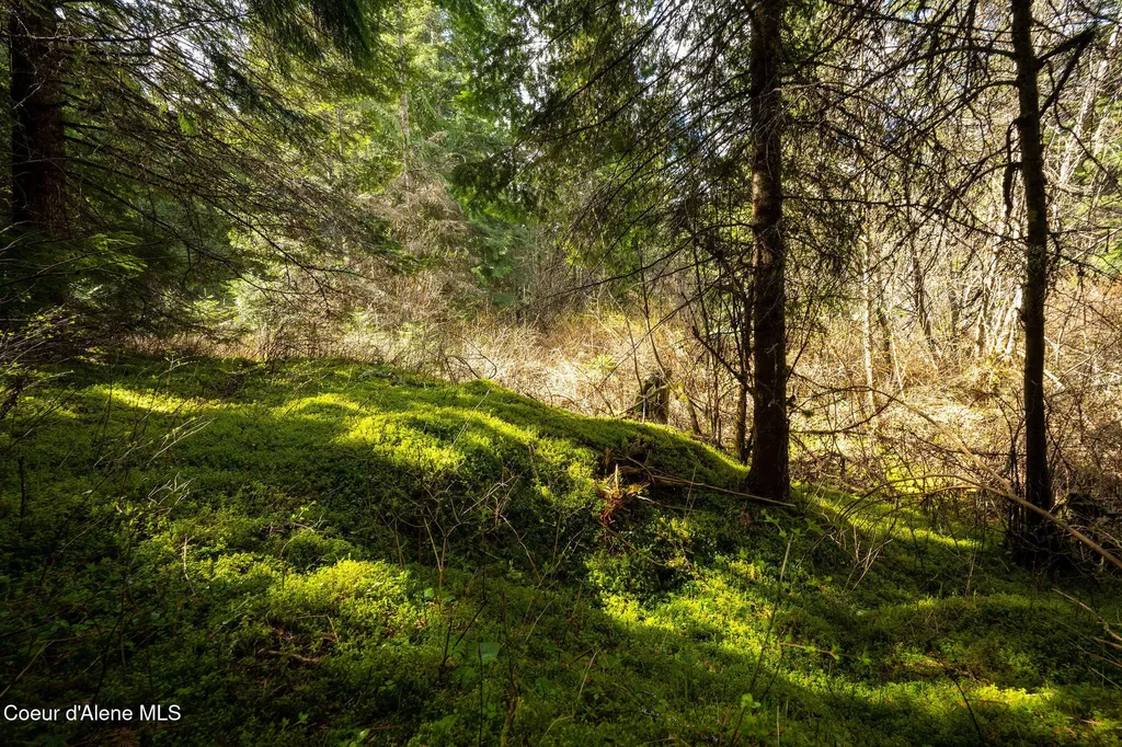 Nka Evans Creek Road Medimont ID 83842