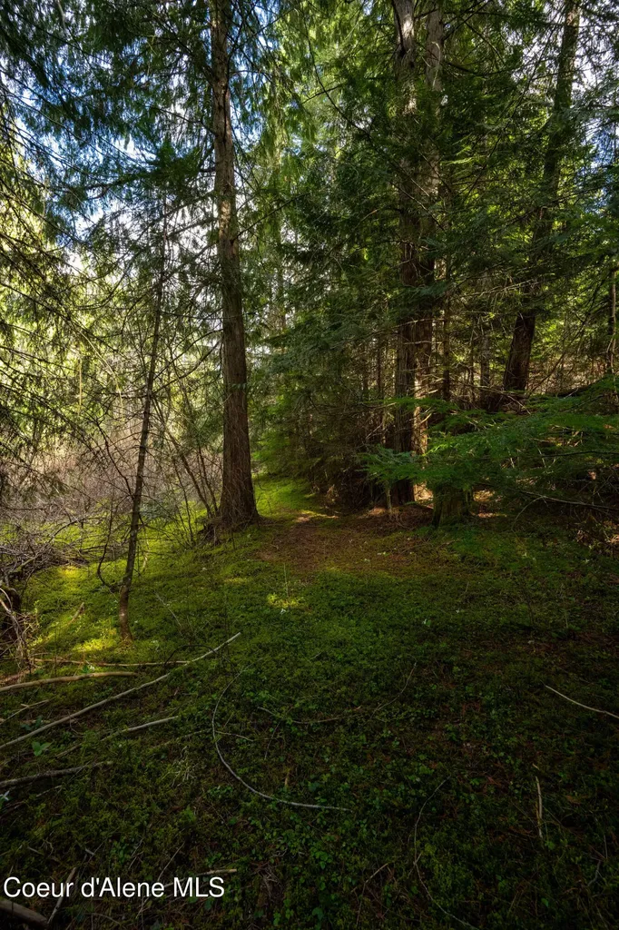 Nka Evans Creek Road Medimont ID 83842