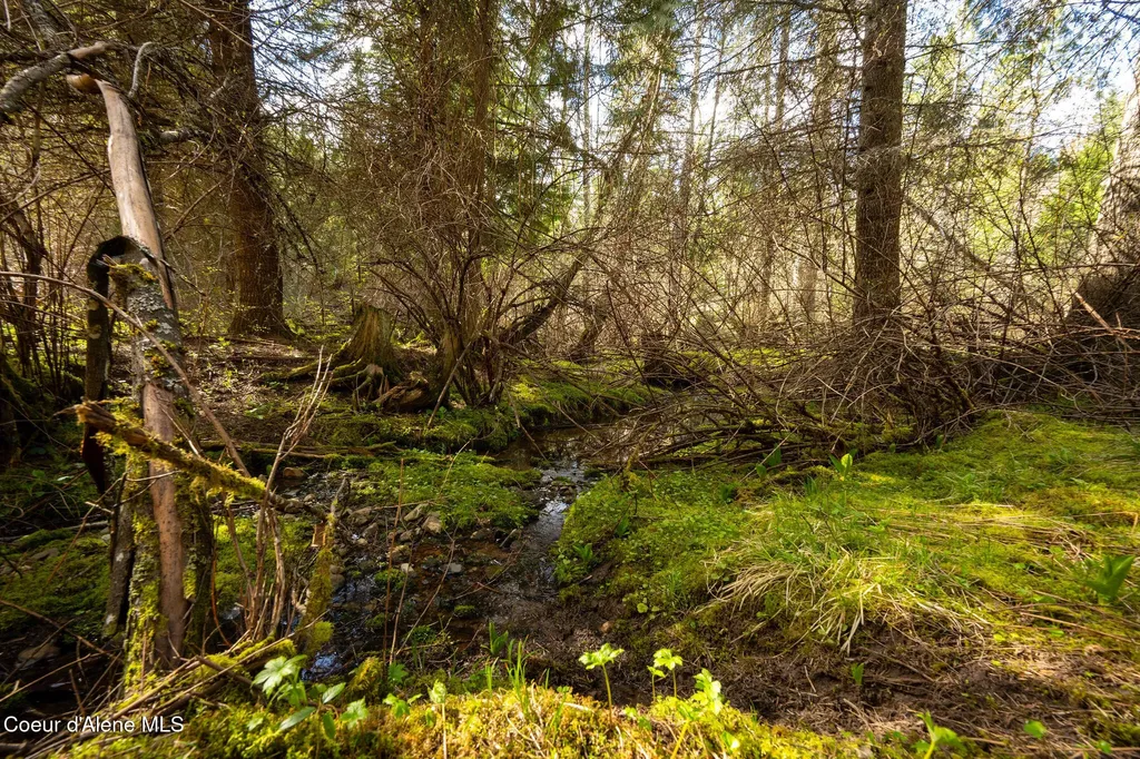 Nka Evans Creek Road Medimont ID 83842