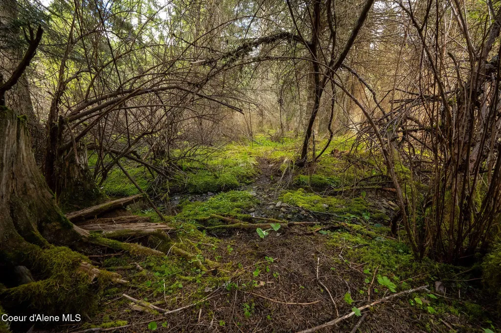 Nka Evans Creek Road Medimont ID 83842