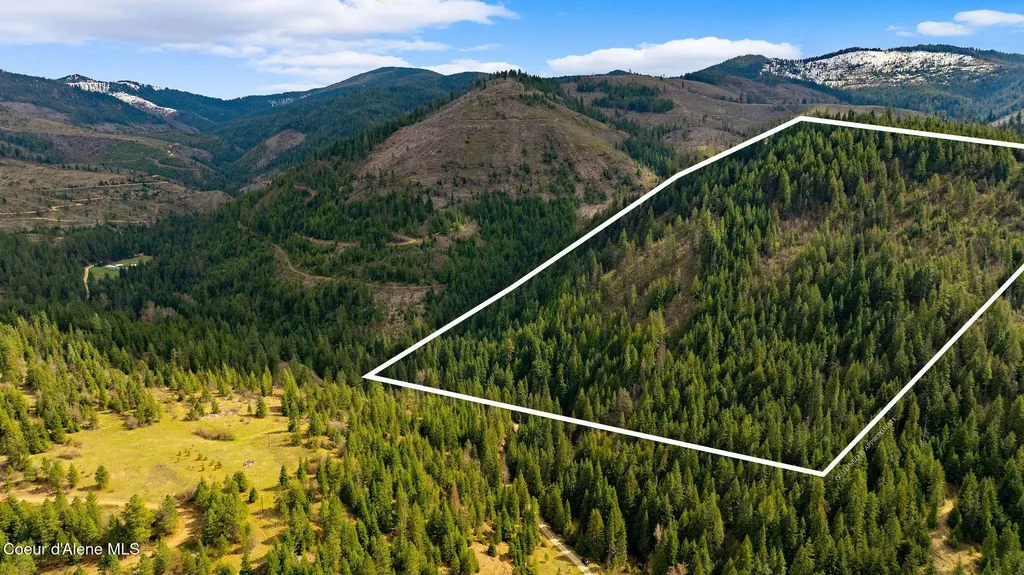 Nka Evans Creek Road Medimont ID 83842