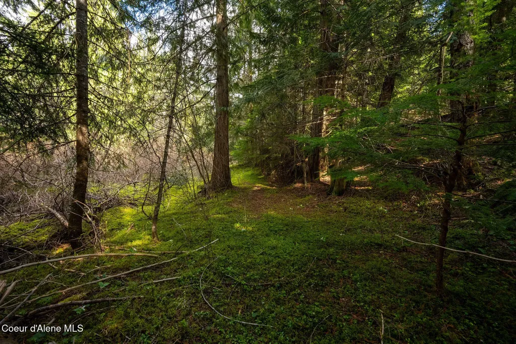 Nka Evans Creek Road Medimont ID 83842