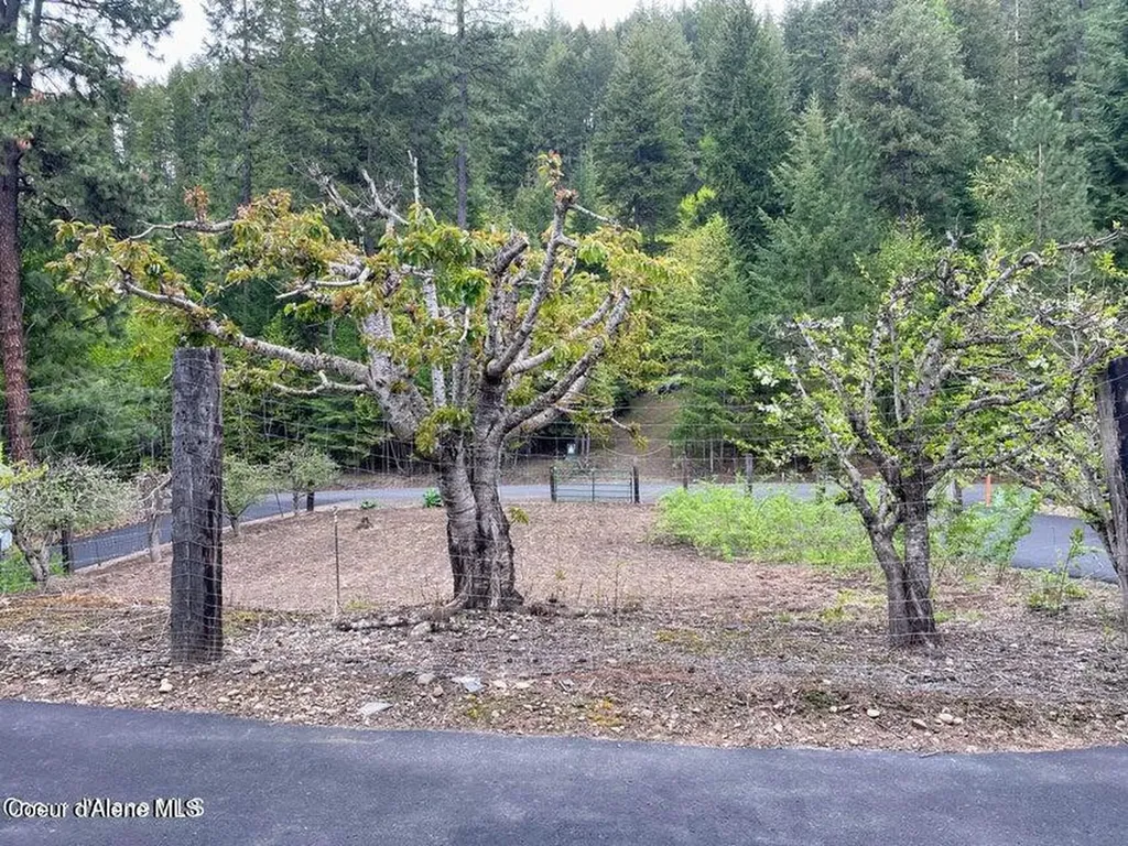 29623 S High Side Drive Worley ID 83876