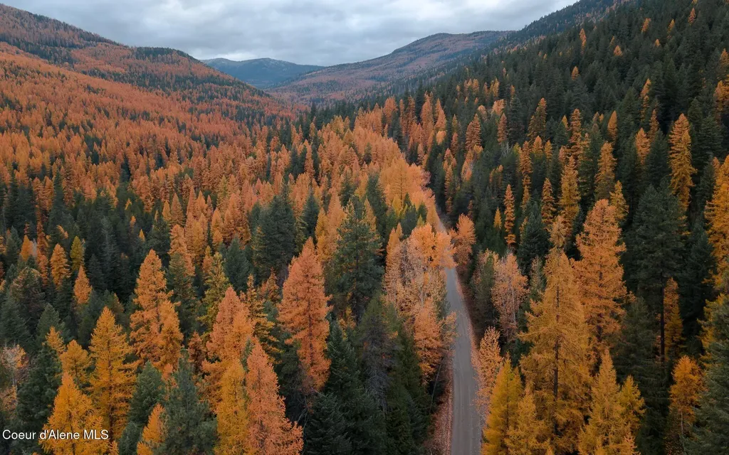 595 Snowcat Lane Bonners Ferry ID 83805