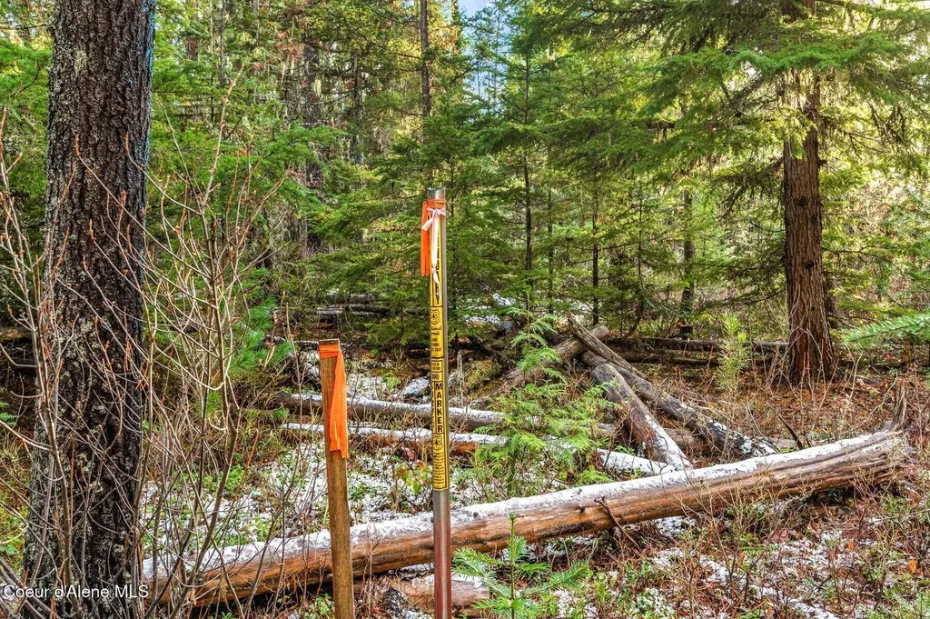 Lot 3 (10 Acres) Reeder Bay Road Nordman ID 83848