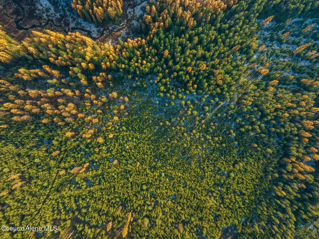 Lot 3 (10 Acres) Reeder Bay Road Nordman ID 83848