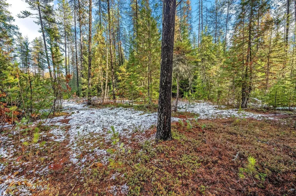 Lot 3 (10 Acres) Reeder Bay Road Nordman ID 83848
