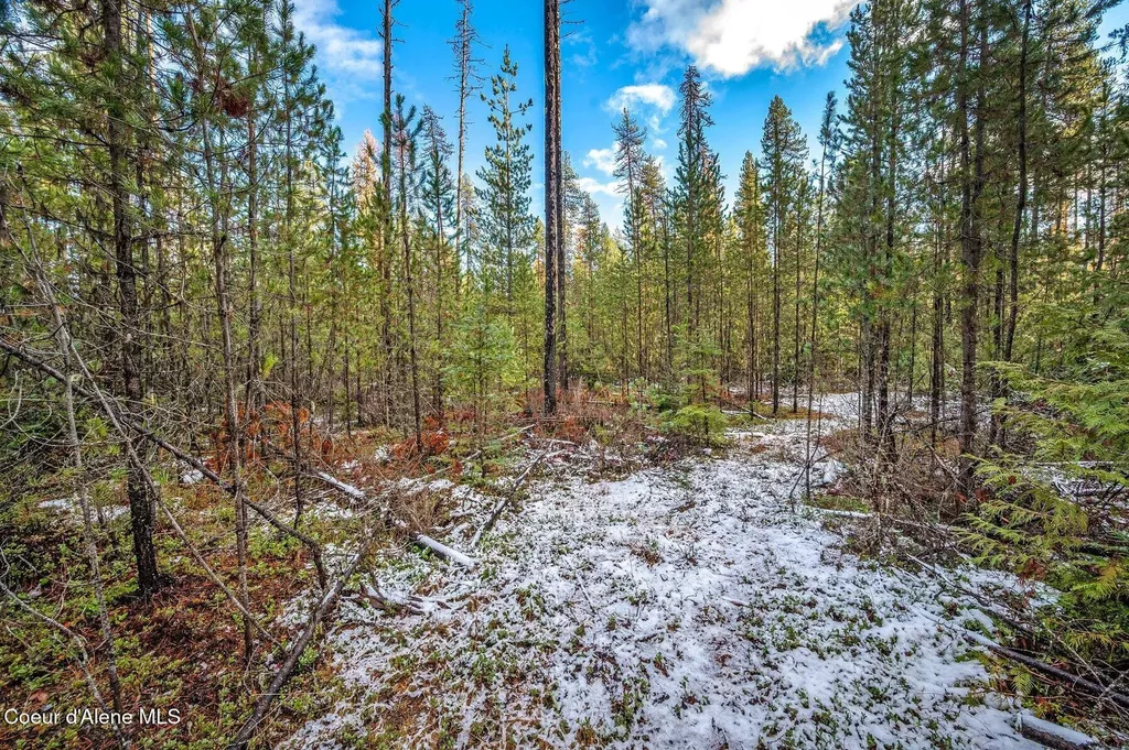 Lot 3 (10 Acres) Reeder Bay Road Nordman ID 83848