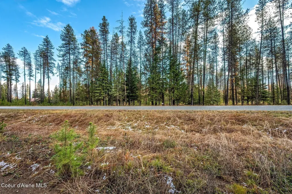 Lot 1 (10 Acres) Reeder Bay Road Nordman ID 83848