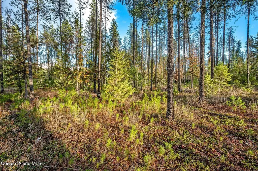 Lot 1 (10 Acres) Reeder Bay Road Nordman ID 83848
