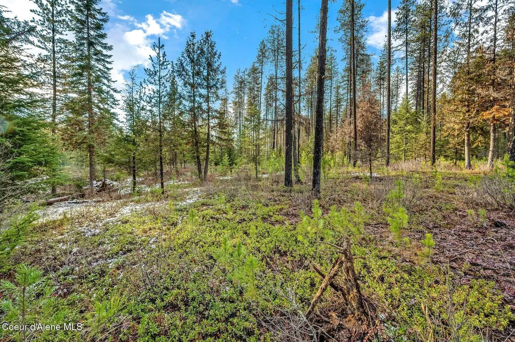 Lot 1 (10 Acres) Reeder Bay Road Nordman ID 83848