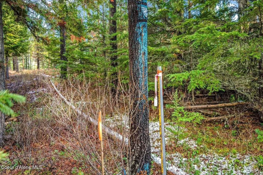 Lot 1 (10 Acres) Reeder Bay Road Nordman ID 83848