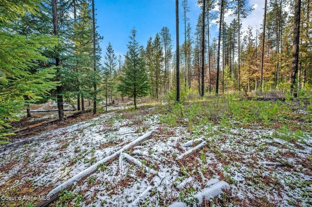 Lot 1 (10 Acres) Reeder Bay Road Nordman ID 83848