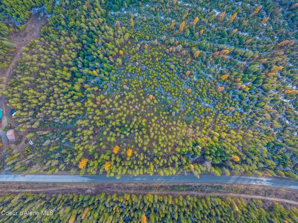 Lot 1 (10 Acres) Reeder Bay Road Nordman ID 83848