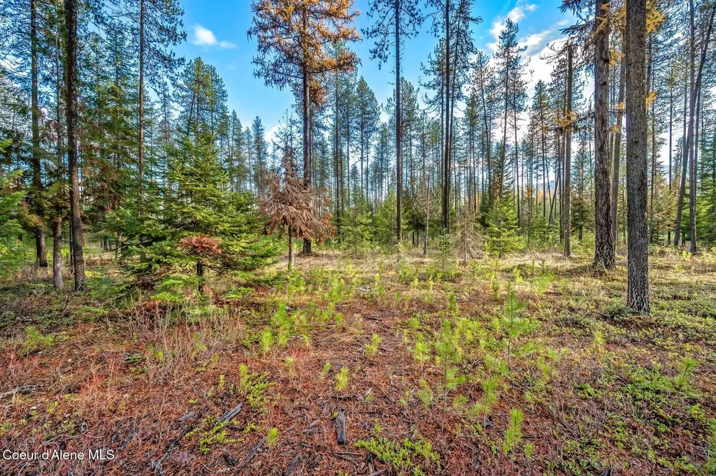 Lot 1 (10 Acres) Reeder Bay Road Nordman ID 83848